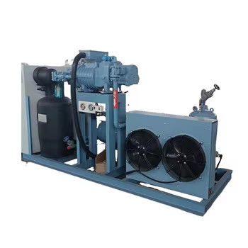 Unidade de compressor a parafuso industrial refrigerada a ar Conditioning Unit novo características automáticas núcleo sendo motor frigorífico