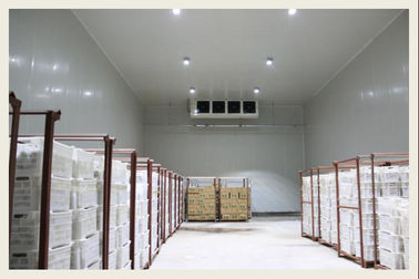 Variação da temperatura larga vegetal da sala de armazenamento frio da anti corrosão opcional