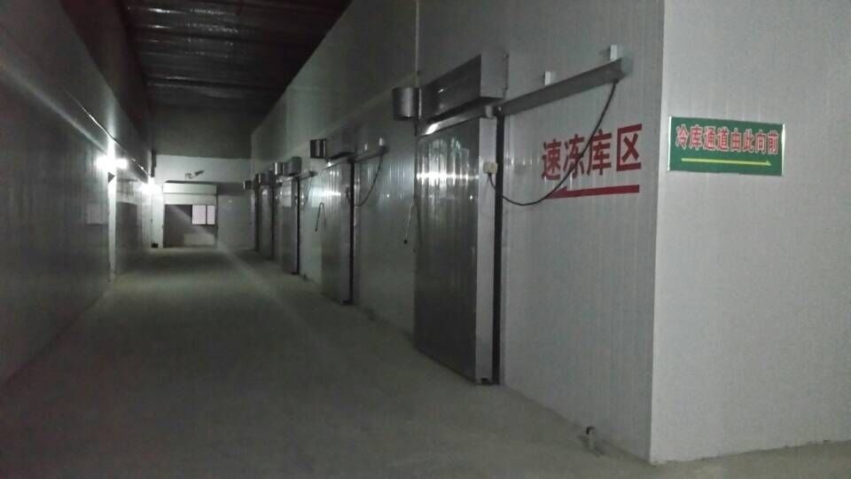 Sala fria pré-fabricada de painel de sanduíche do plutônio que refrigera pre o tipo da porta secional