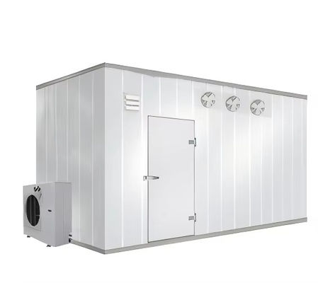 Bitzer Compressor Pequeno Large-Scale Sala de frio Painéis de armazenamento Containers Fresh-Keeper hospitais médicos Nova Construção Pro