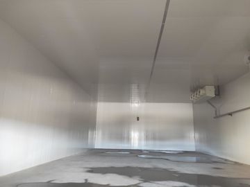 Rolo vegetal da sala de armazenamento frio da bebida dos frutos formação de trituração do auto