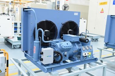Abra o tipo unidade de condensação da refrigeração com o controlador da pressão do alto e baixo