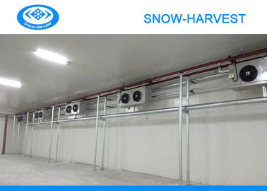 Absorção de água vegetal da sala de armazenamento frio do controlo automático grande