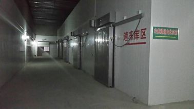 Sala fria pré-fabricada de painel de sanduíche do plutônio que refrigera pre o tipo da porta secional